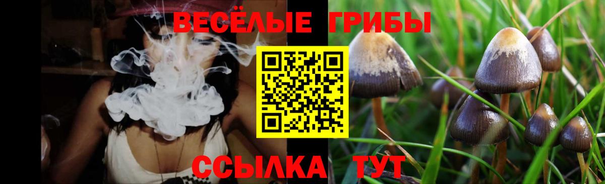 Галлюциногенные грибы Psilocybine cubensis  Галлюциногенные грибы мухоморы  Нефтеюганск  Вход с VPN 
